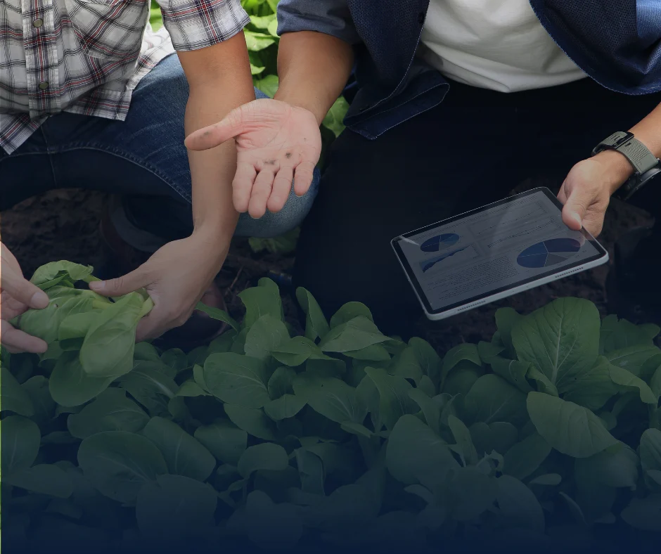 Agribusiness